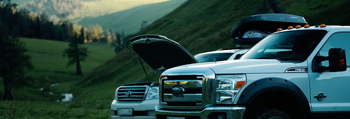 Kat’n’Go is not our only project in this area; in parallel, we are developing a global vision for tourism development in the region and a master plan of measures to implement an exemplary format of careful and sustainable interaction between man and nature using the example of the Katon-Karagay National Park.