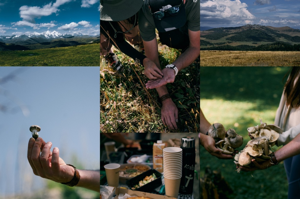 Дизайн без названия (5).jpg Дизайн без названия (5).jpg