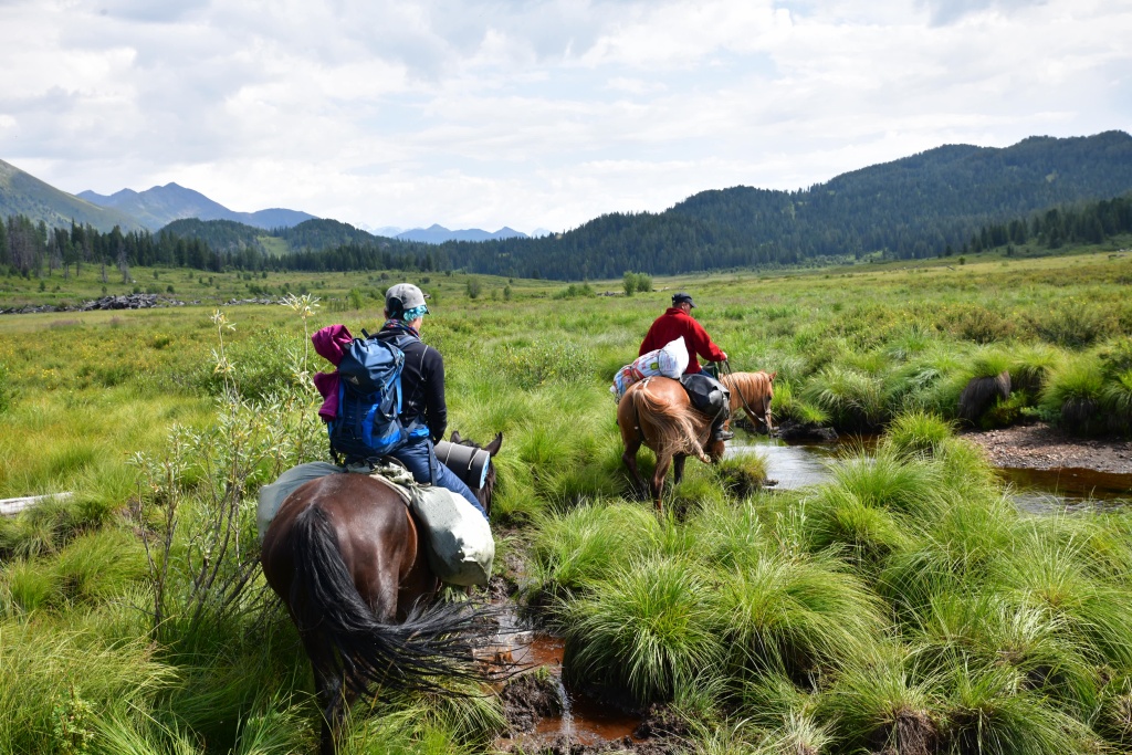 Болото по пути на Кок-Коль